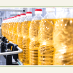 Groundnut Oil Production Process: From Farm to Bottle