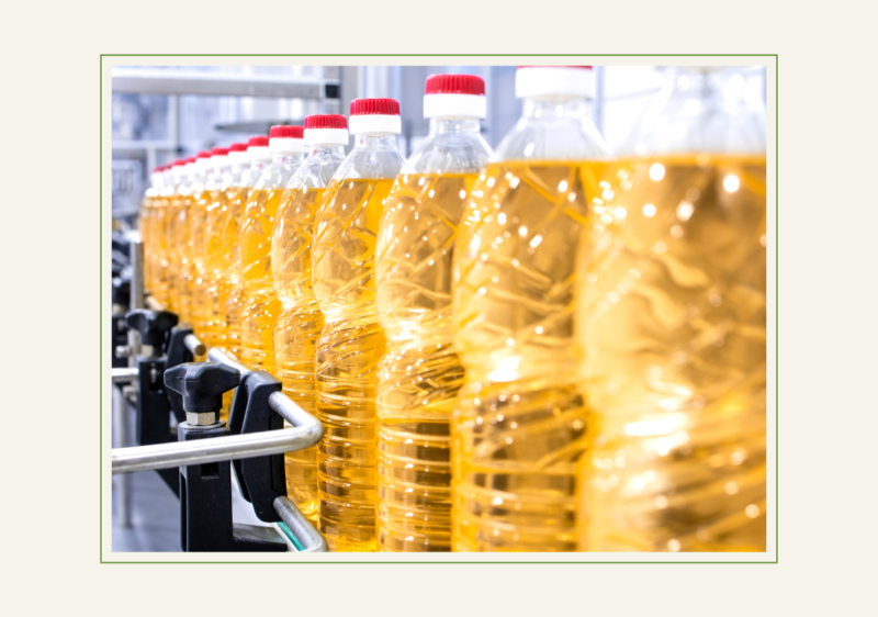 Groundnut Oil Production Process: From Farm to Bottle